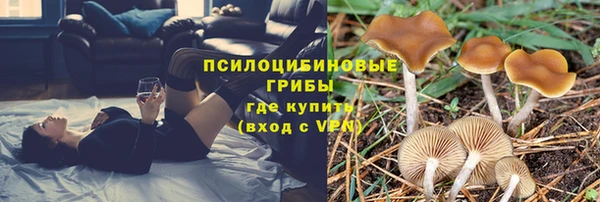 эйфоретик Алзамай