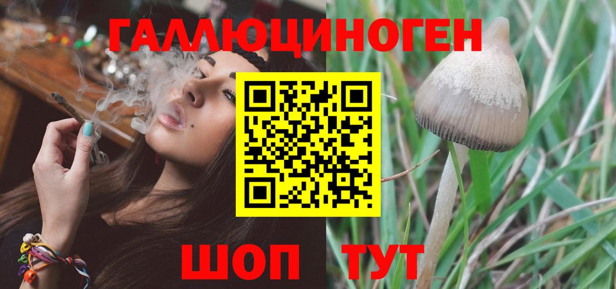 Галлюциногенные грибы мицелий Владивосток